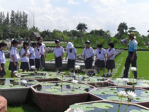 SDC12685.JPG