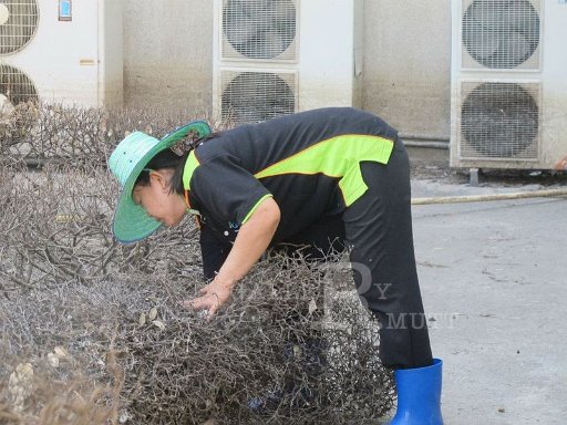 big-cleaning-arit-30-11-54-34_002.jpg