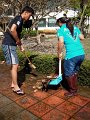 big-cleaningarit-21_002