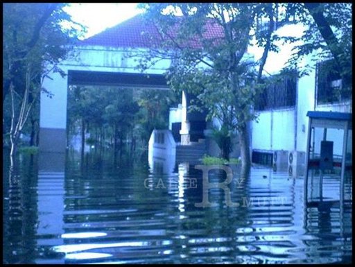 floodrmutt-11.jpg
