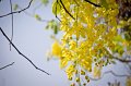 IMG_7561