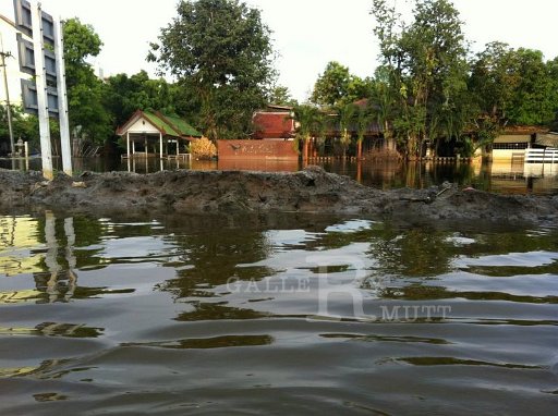 karoe-k-loveking9-11-2011-23_002.jpg