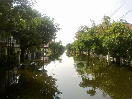 november-1-2011-natee-purod-50_002.jpg