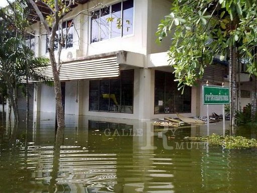prakard-thongprapai-e0b8a1e0b897e0b8a3-e0b898e0b8b1e0b88de0b89ae0b8b8e0b8a3e0b8b5-26-10-54-22.jpg