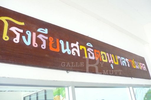P1100432.JPG