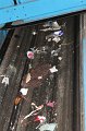 IMG_0901