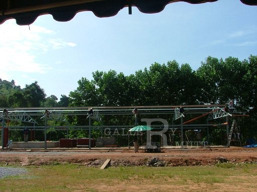 DSCF3382.JPG