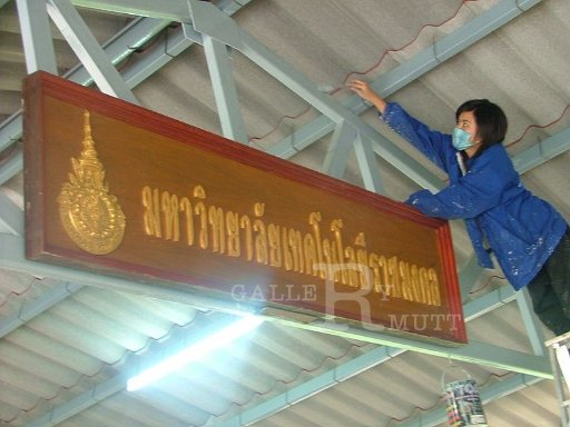 DSCF5235.JPG