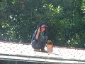 DSCF5640