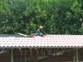 DSCF4384