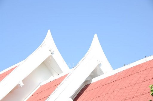 DSC_0001.JPG