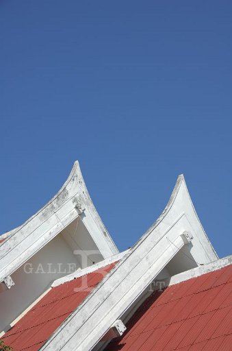 DSC_0006.JPG