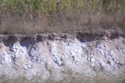 DSC_0124.JPG