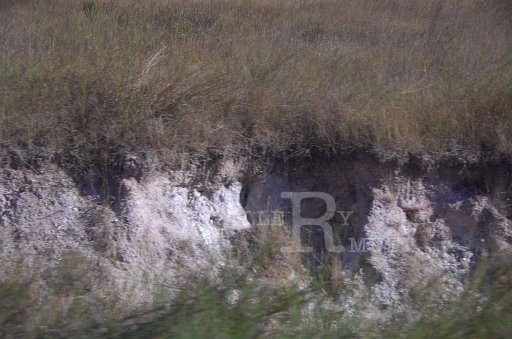DSC_0125.JPG
