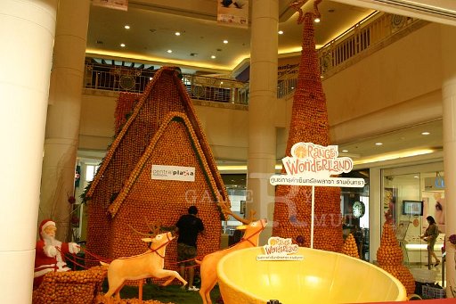 IMG_0047.JPG