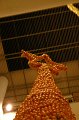 IMG_0015