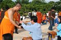 IMG_4795