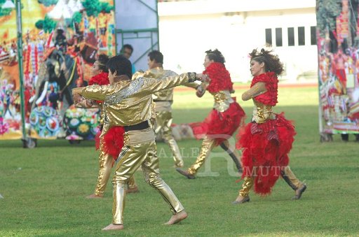 DSC_0206.JPG