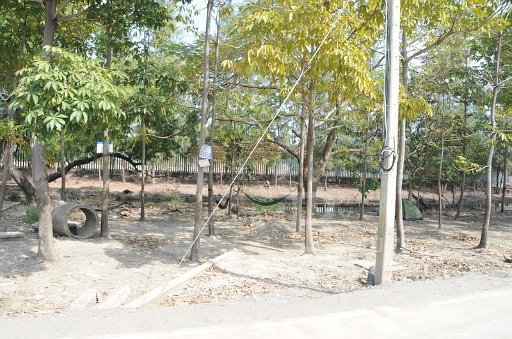 DSC_6433.JPG