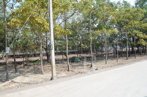 DSC_6434.JPG