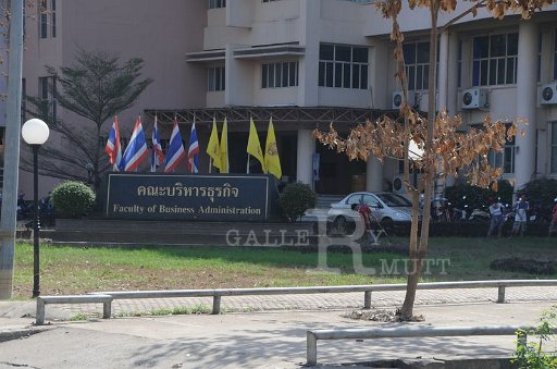 DSC_6448.JPG