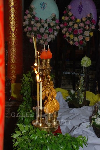 DSC_0087_resize.JPG