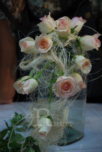 DSC_0220_resize.JPG