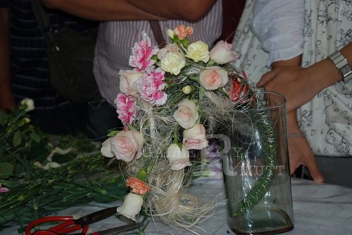 DSC_0246_resize.JPG