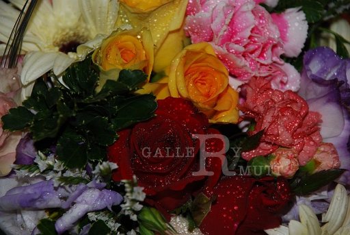 DSC_0334_resize.JPG