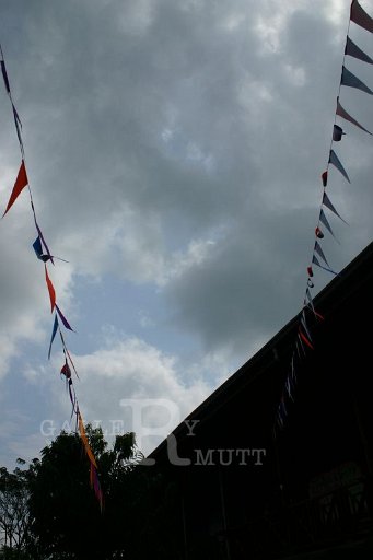 IMG_0282.JPG