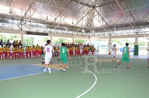 DSC_6334.JPG