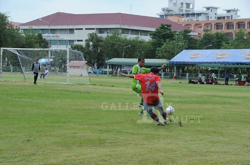 DSC_6370.JPG