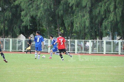 DSC_6410.JPG