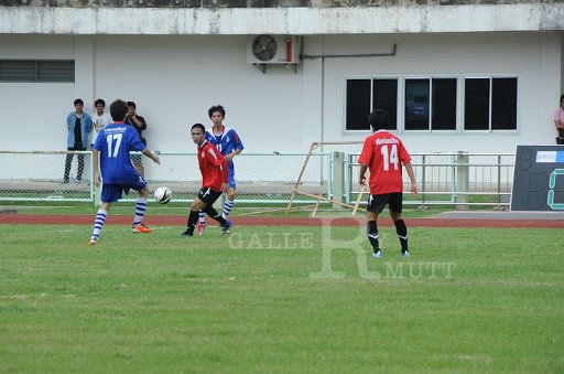 DSC_6411.JPG