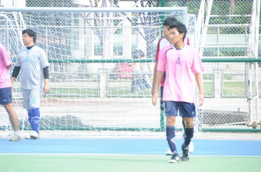 DSC_6463.JPG