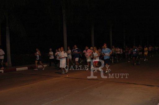 DSC_8752.JPG