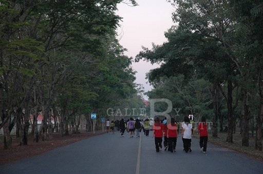 DSC_8790.JPG