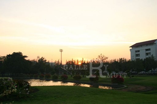 IMG_0195.JPG