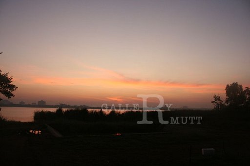 IMG_0825.JPG