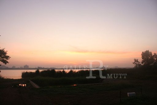 IMG_0828.JPG