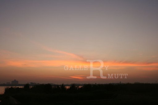 IMG_0833.JPG