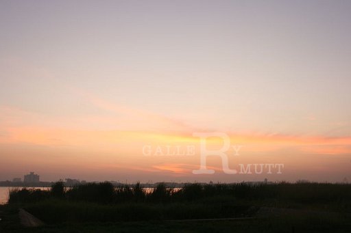 IMG_0834.JPG