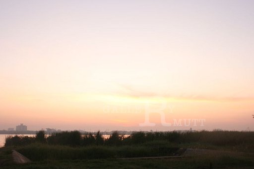 IMG_0835.JPG