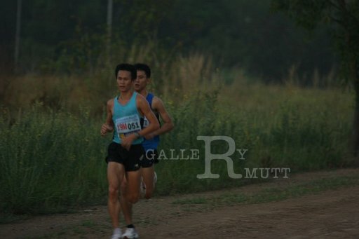 IMG_2500.JPG