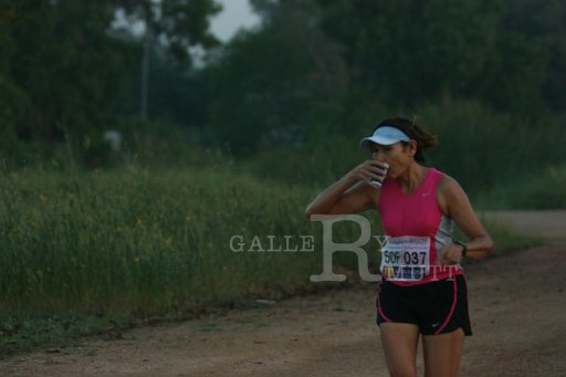IMG_2552.JPG