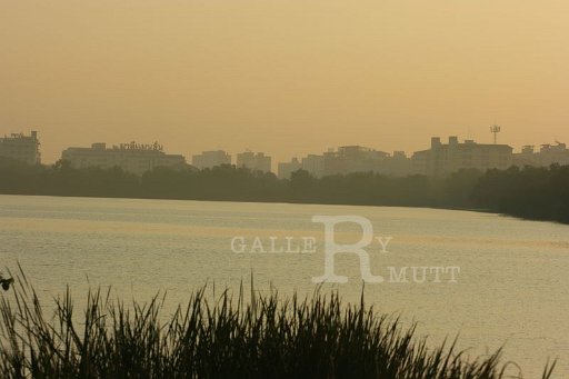 IMG_2634.JPG