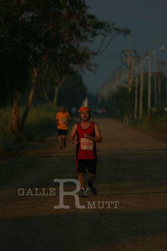 IMG_2652.JPG