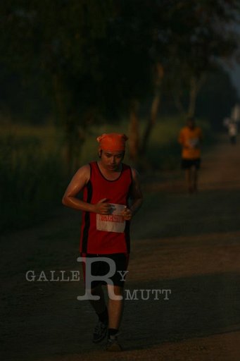 IMG_2653.JPG