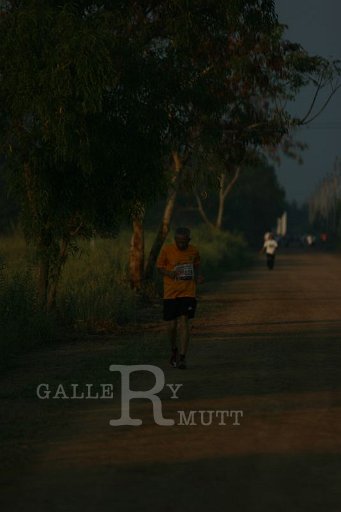 IMG_2654.JPG