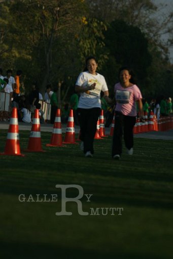 IMG_2670.JPG